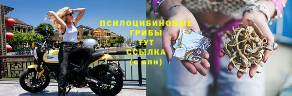 ECSTASY Волосово