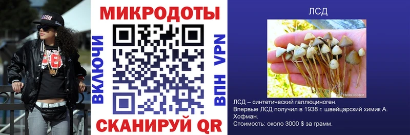 Купить закладки  Аргун  Галлюциногенные грибы Psilocybe 